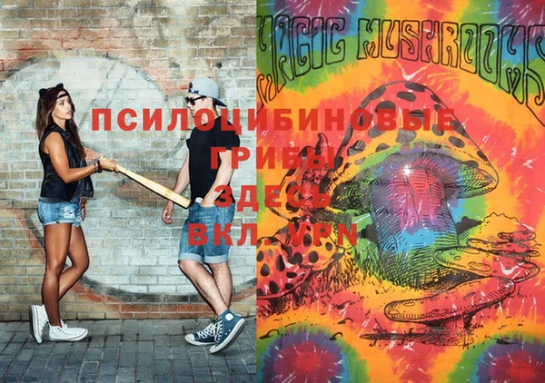 спиды Абаза