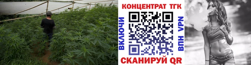 продажа наркотиков  Красновишерск  ссылка на мегу как зайти  ТГК вейп 